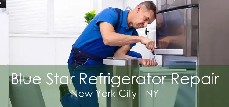 Blue Star Refrigerator Repair New York City - NY