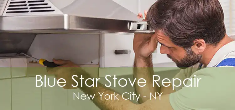 Blue Star Stove Repair New York City - NY