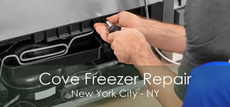 Cove Freezer Repair New York City - NY