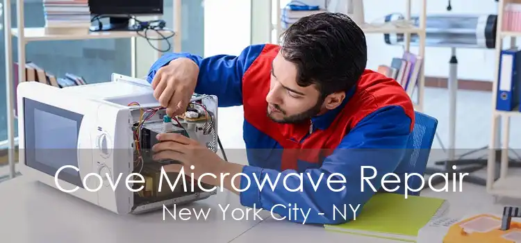 Cove Microwave Repair New York City - NY