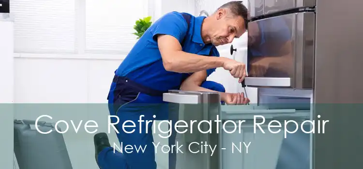 Cove Refrigerator Repair New York City - NY