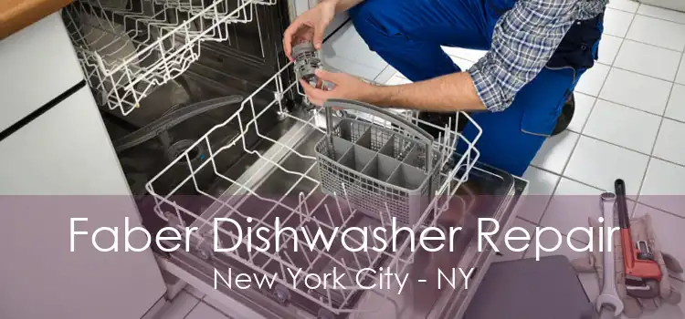 Faber Dishwasher Repair New York City - NY