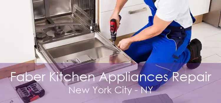 Faber Kitchen Appliances Repair New York City - NY