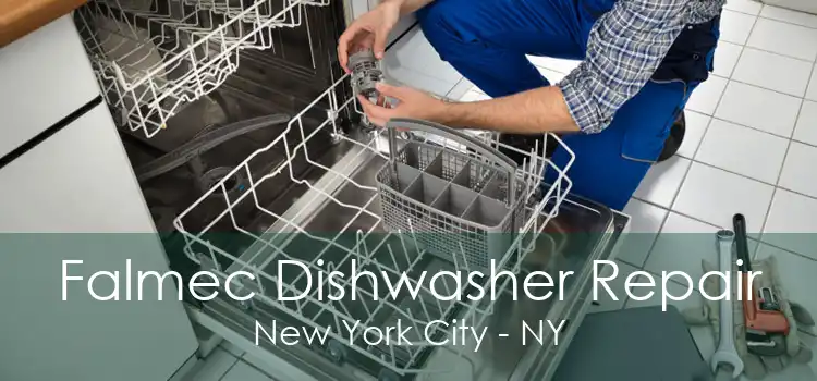 Falmec Dishwasher Repair New York City - NY