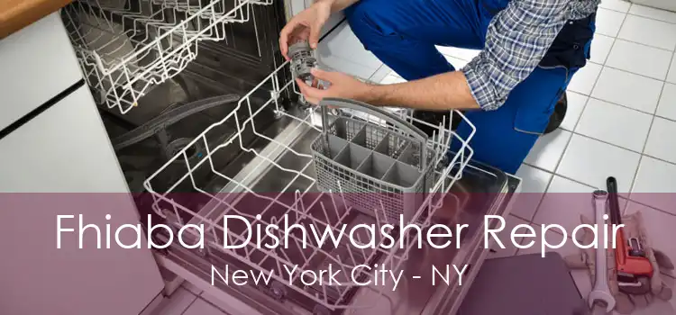 Fhiaba Dishwasher Repair New York City - NY