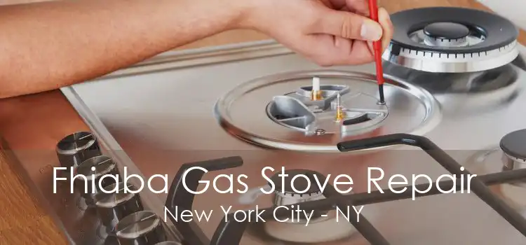 Fhiaba Gas Stove Repair New York City - NY