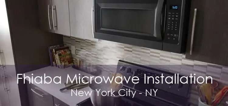 Fhiaba Microwave Installation New York City - NY