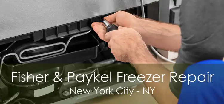 Fisher & Paykel Freezer Repair New York City - NY