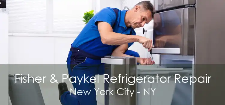 Fisher & Paykel Refrigerator Repair New York City - NY