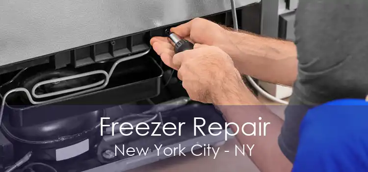 Freezer Repair New York City - NY