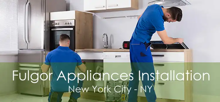 Fulgor Appliances Installation New York City - NY