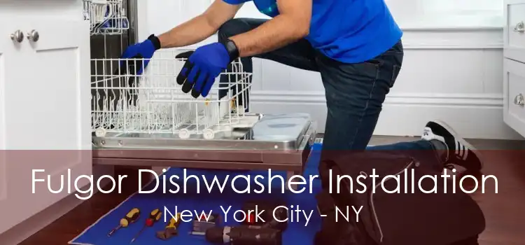 Fulgor Dishwasher Installation New York City - NY