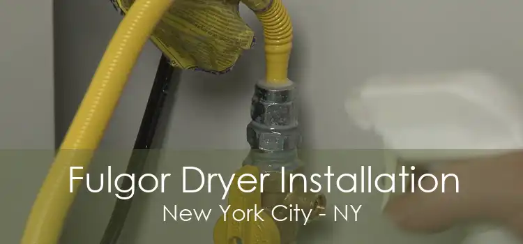 Fulgor Dryer Installation New York City - NY