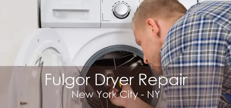 Fulgor Dryer Repair New York City - NY