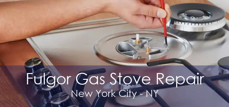 Fulgor Gas Stove Repair New York City - NY