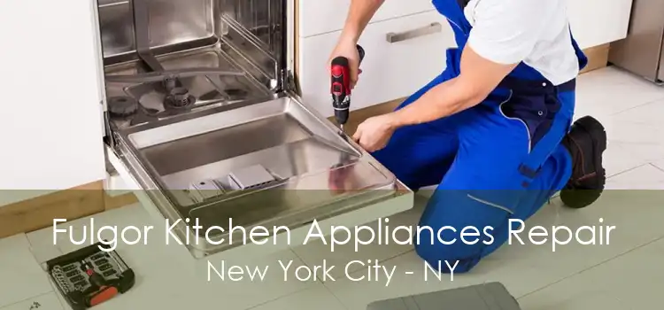 Fulgor Kitchen Appliances Repair New York City - NY