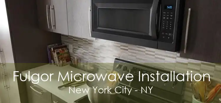 Fulgor Microwave Installation New York City - NY