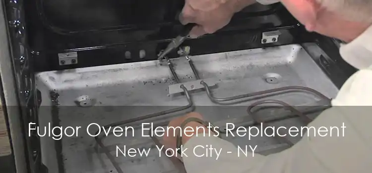 Fulgor Oven Elements Replacement New York City - NY