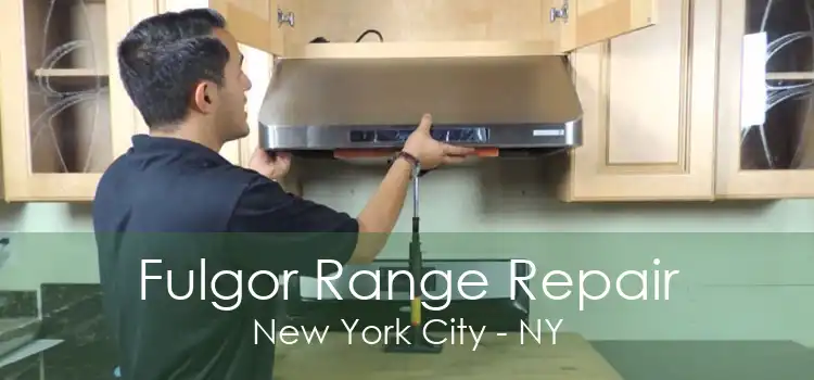 Fulgor Range Repair New York City - NY