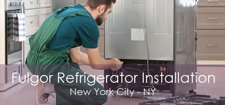 Fulgor Refrigerator Installation New York City - NY