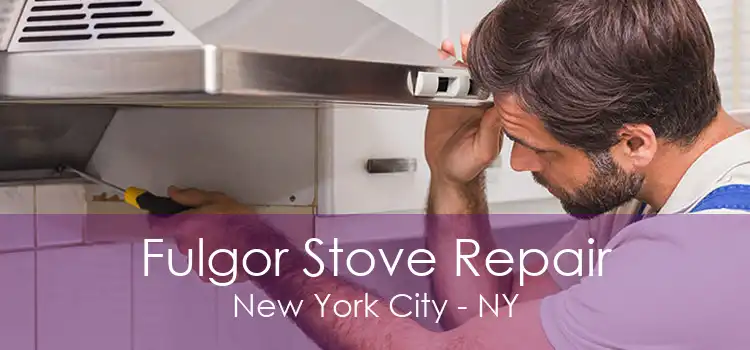 Fulgor Stove Repair New York City - NY