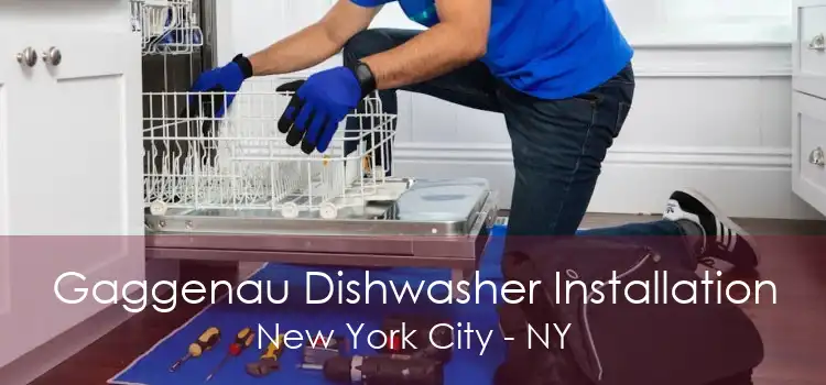 Gaggenau Dishwasher Installation New York City - NY