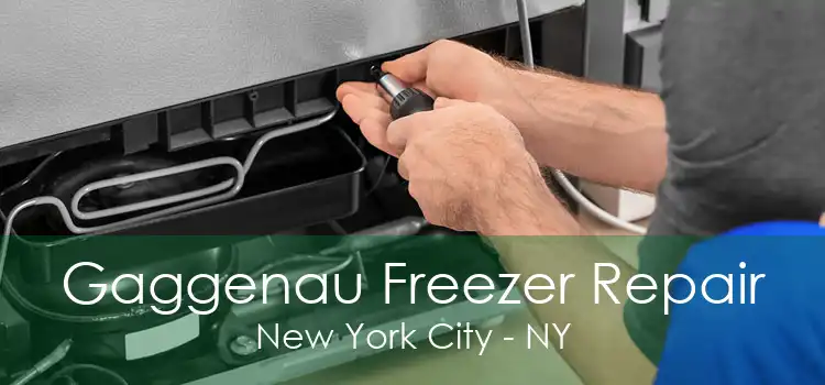 Gaggenau Freezer Repair New York City - NY