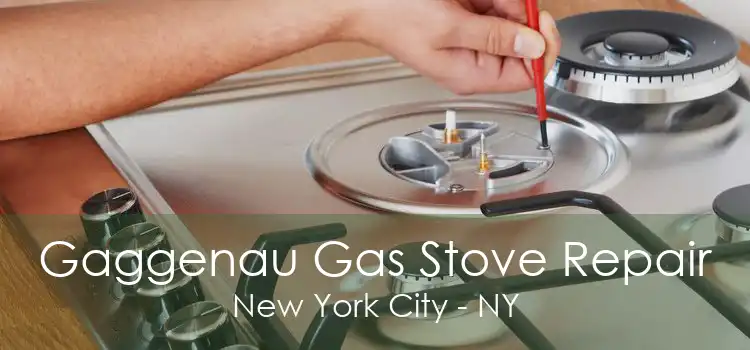 Gaggenau Gas Stove Repair New York City - NY