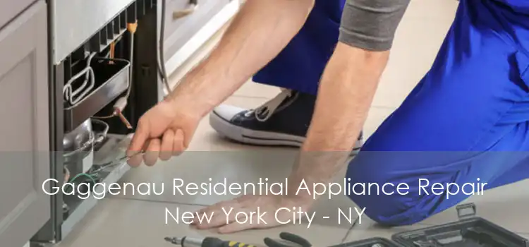 Gaggenau Residential Appliance Repair New York City - NY