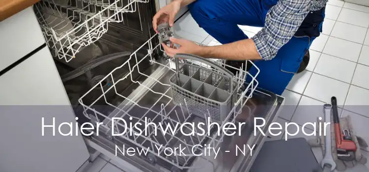 Haier Dishwasher Repair New York City - NY