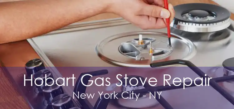 Hobart Gas Stove Repair New York City - NY