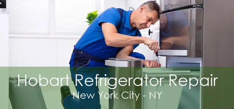 Hobart Refrigerator Repair New York City - NY