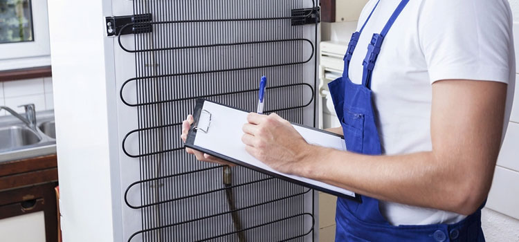 Fisher & Paykel residential-refrigerator-installation in New York City, New York