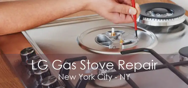 LG Gas Stove Repair New York City - NY