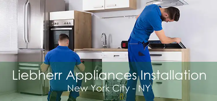 Liebherr Appliances Installation New York City - NY