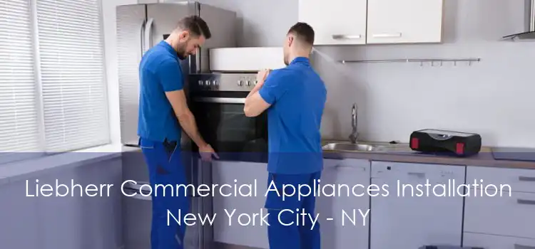 Liebherr Commercial Appliances Installation New York City - NY