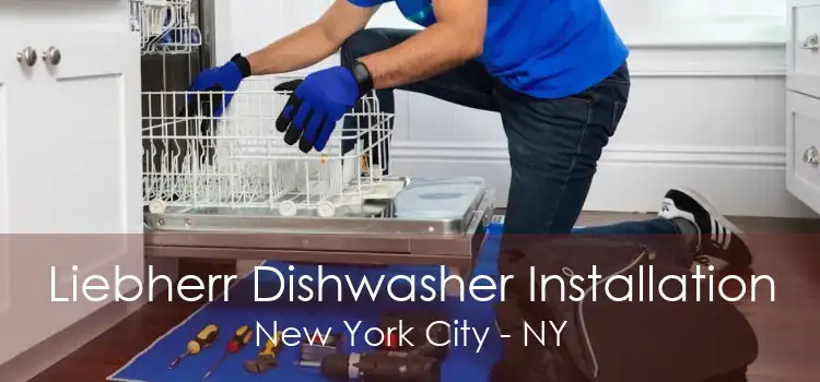 Liebherr Dishwasher Installation New York City - NY