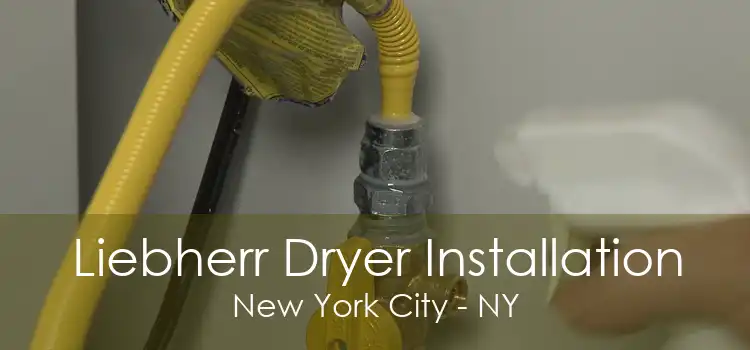 Liebherr Dryer Installation New York City - NY