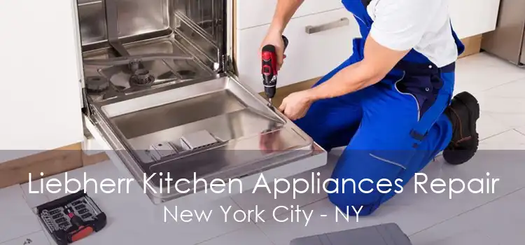 Liebherr Kitchen Appliances Repair New York City - NY