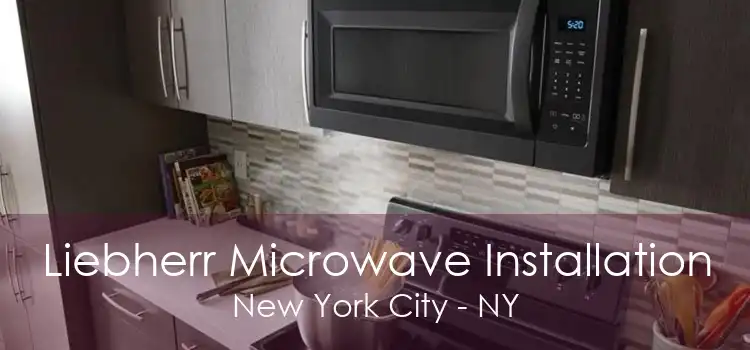 Liebherr Microwave Installation New York City - NY