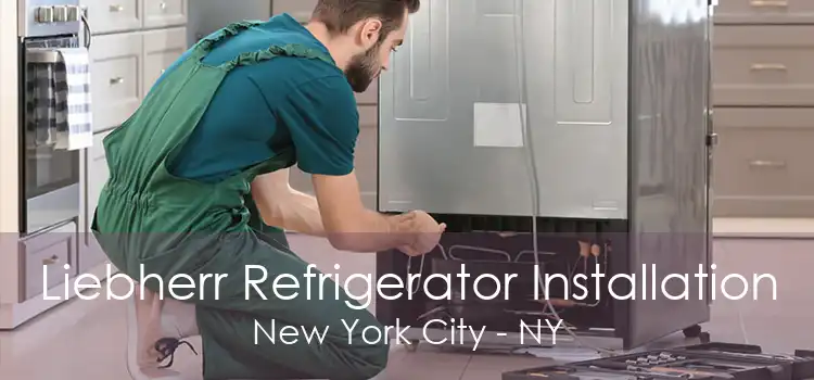 Liebherr Refrigerator Installation New York City - NY