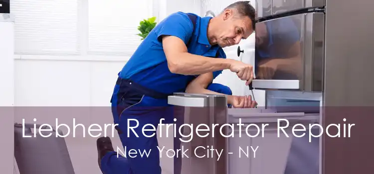 Liebherr Refrigerator Repair New York City - NY