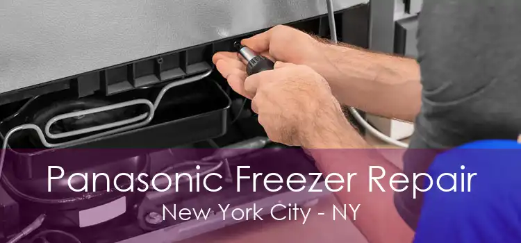 Panasonic Freezer Repair New York City - NY