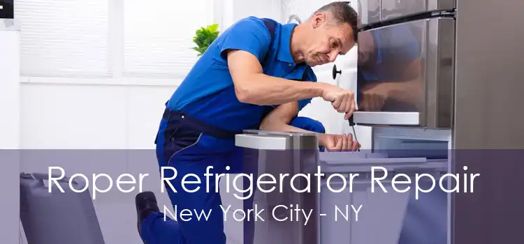 Roper Refrigerator Repair New York City - NY