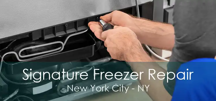 Signature Freezer Repair New York City - NY