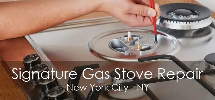 Signature Gas Stove Repair New York City - NY