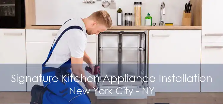 Signature Kitchen Appliance Installation New York City - NY