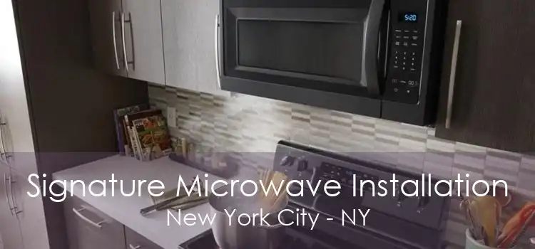 Signature Microwave Installation New York City - NY