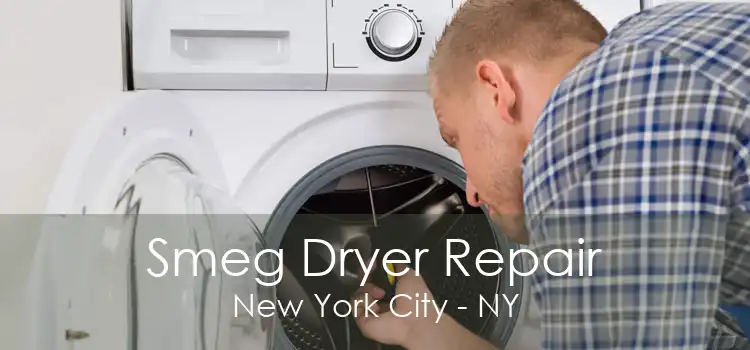 Smeg Dryer Repair New York City - NY