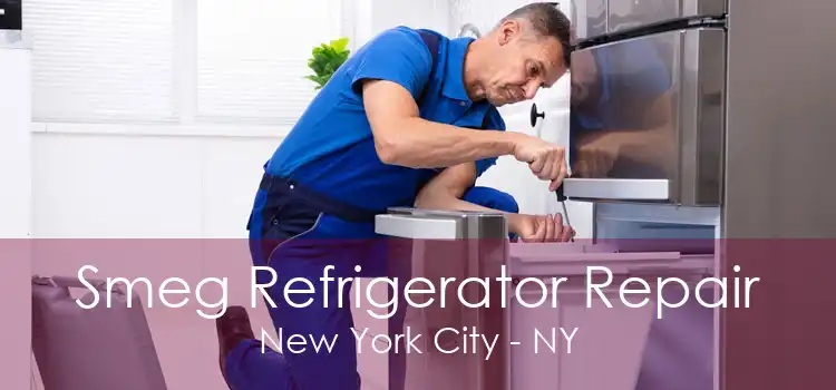 Smeg Refrigerator Repair New York City - NY